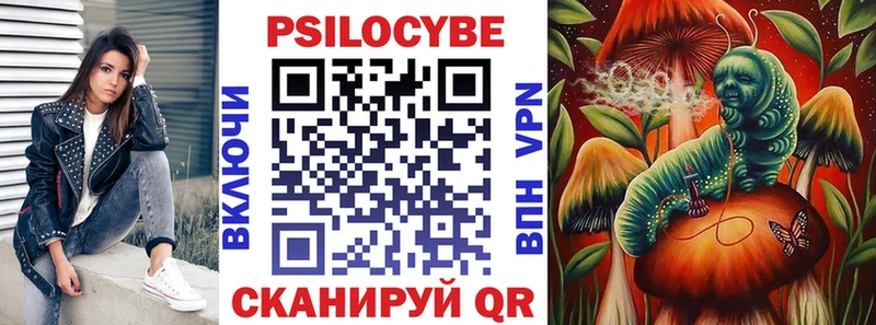 купить закладку  Сосновка  Псилоцибиновые грибы Cubensis 